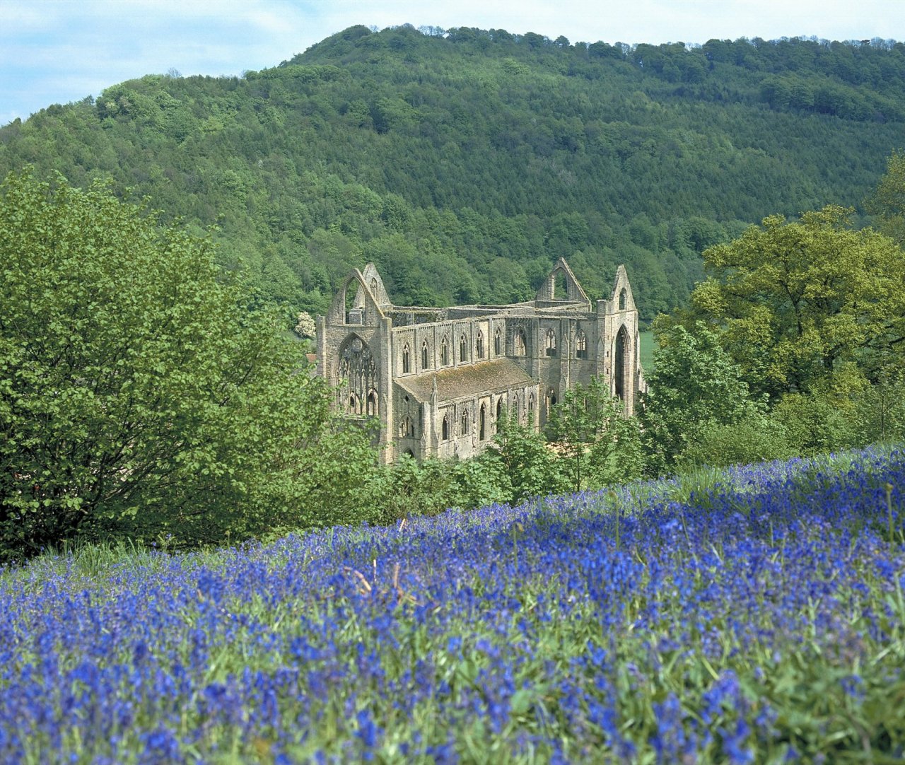 Tour Image